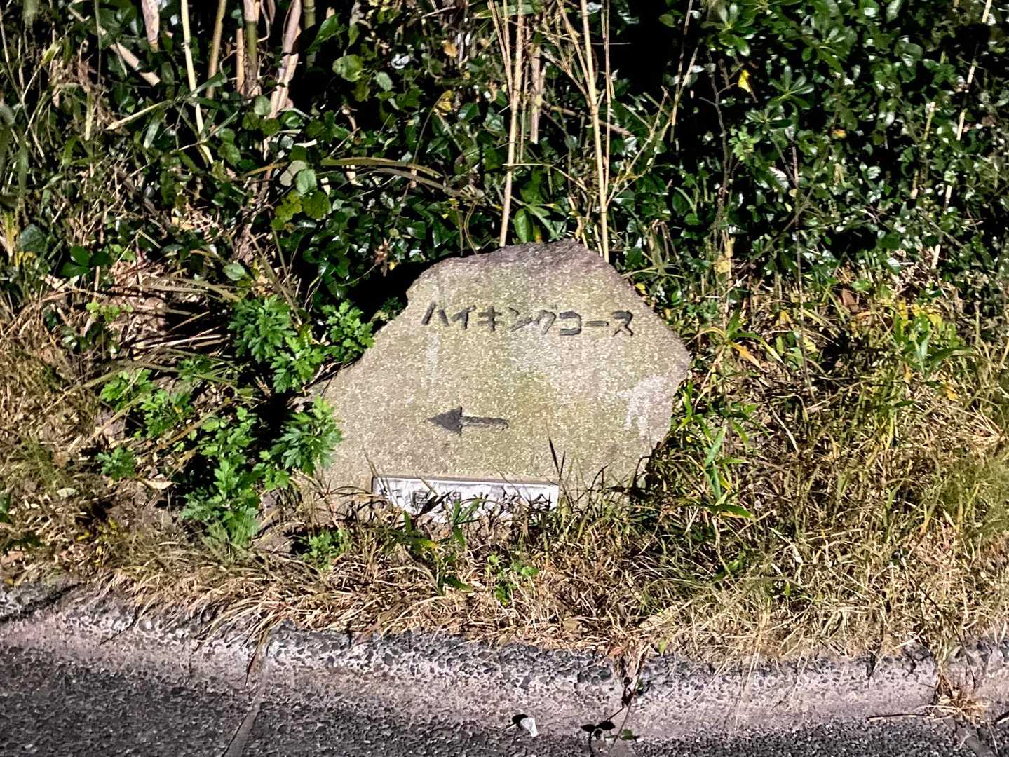真っ暗な中、ハイキング！