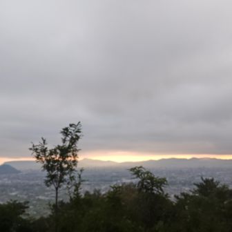 だいぶ明るくなってきました