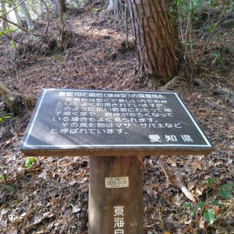 黒雲母花崗岩、説明