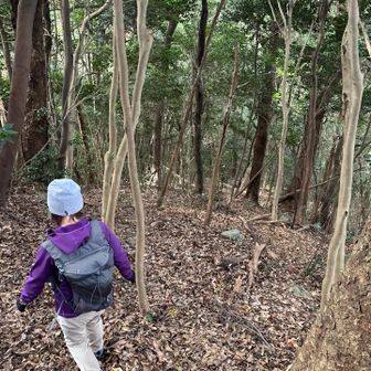 ズルズル滑って降りて
YAMAP確認しながら進み