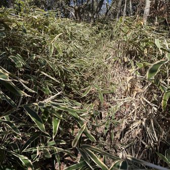 レインパンツ👍