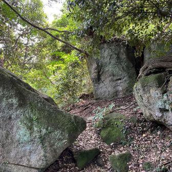 岩岩の道、なかなか面白いですねー