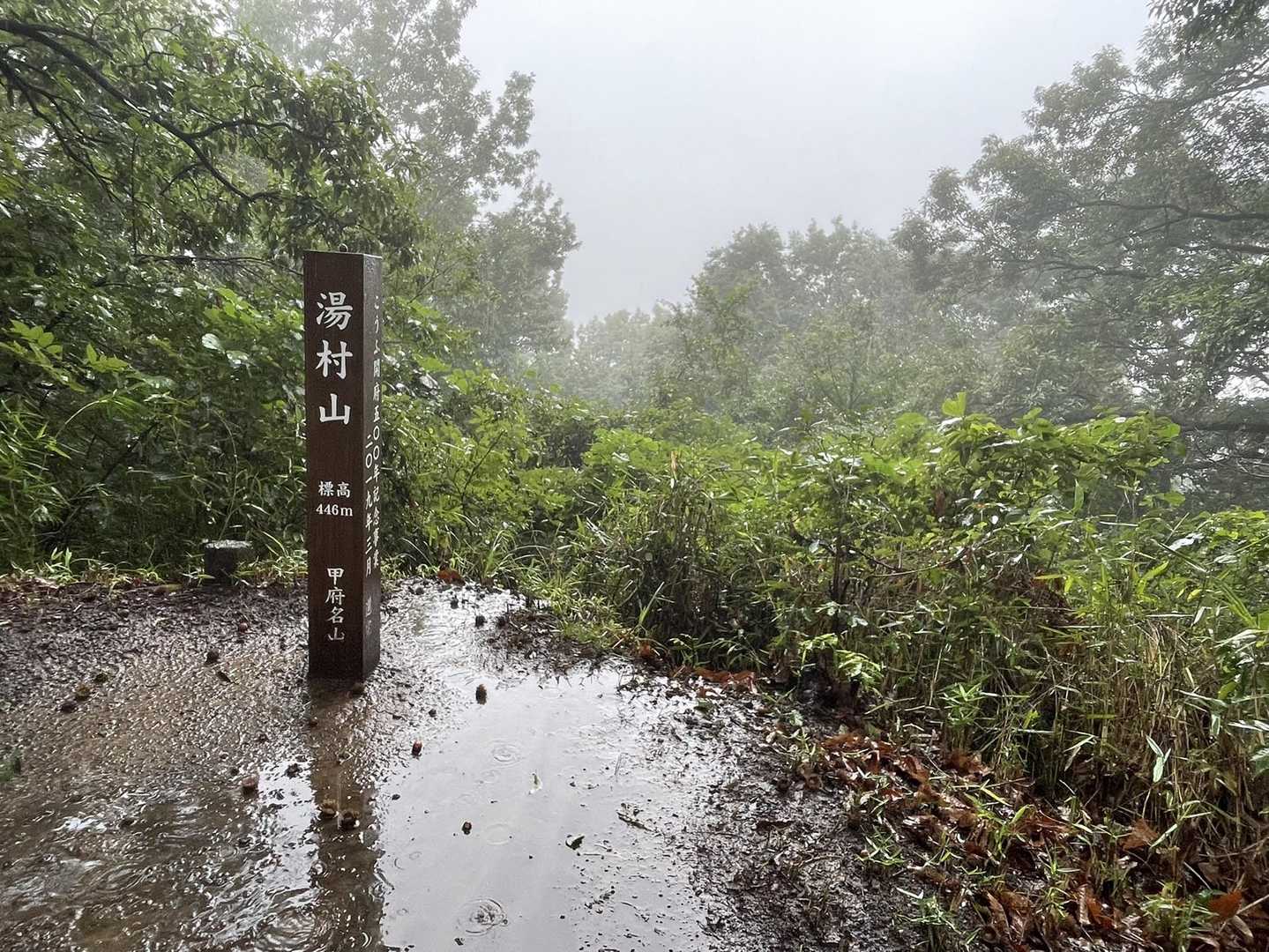 三角点がチラッと写ってましたが、現地では気付かず。