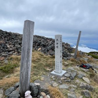 団体のグループと入れ違いで下山🎒
