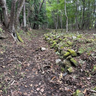 御嶽古道の石垣が残る