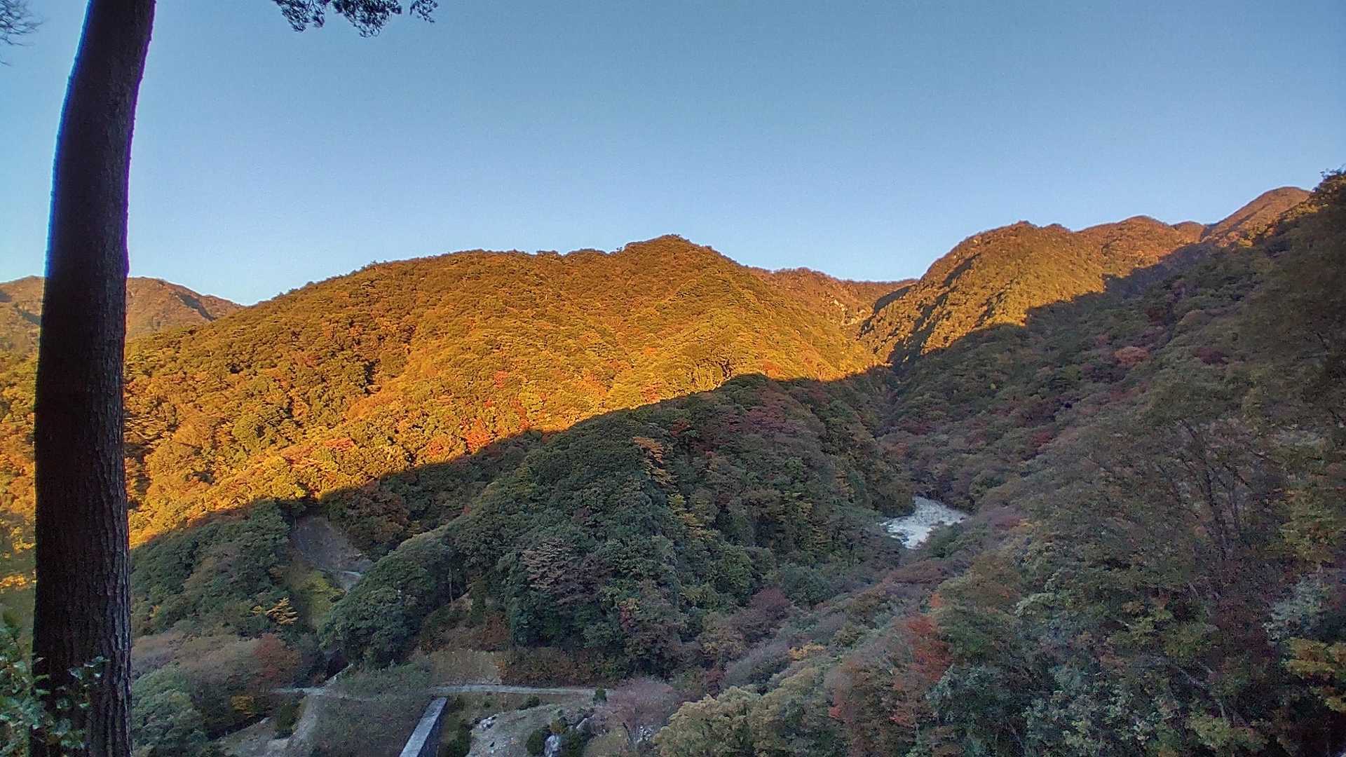朝明登山口-釈迦ヶ岳最高点-釈迦ヶ岳-猫岳-羽鳥峰-金山- 周回コースの写真