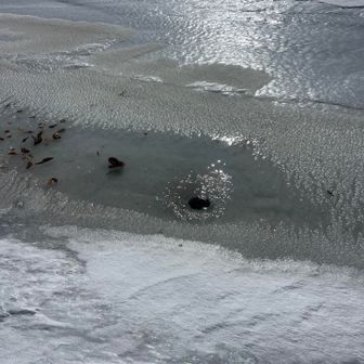 吐いて、たまに渦を巻きながら吸い込んで。