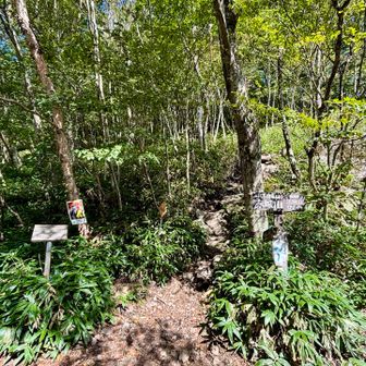 ウップ🫃なりながらも、
黒檜山 登山口よりスタート▶️
