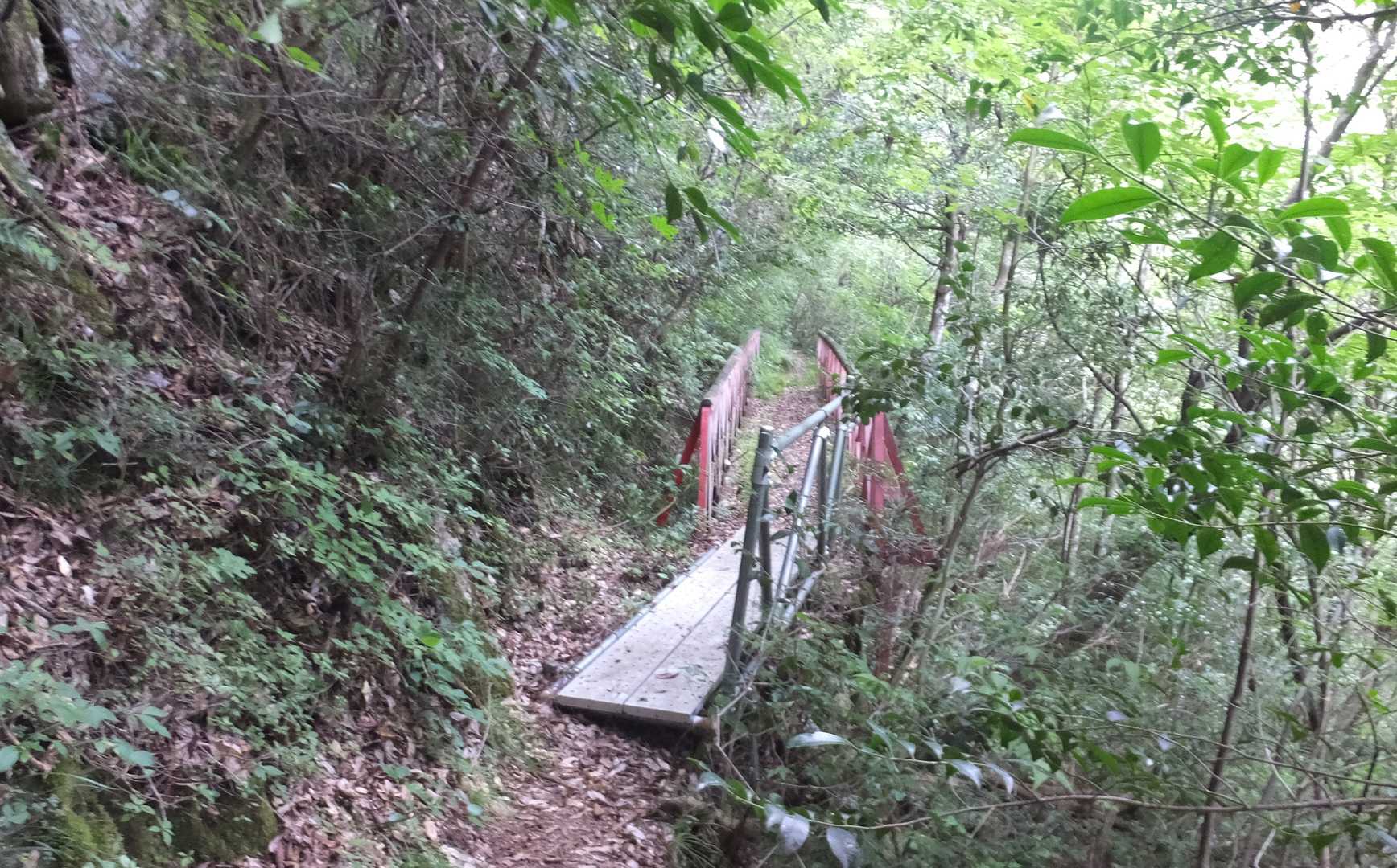 確かめながら渡った橋