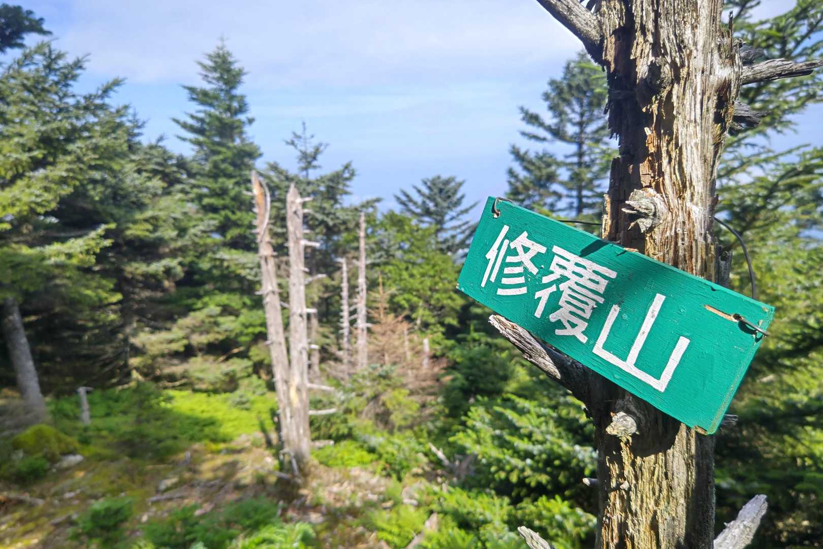 これは八経ヶ岳でも、青空🟦が期待できるかも‼️