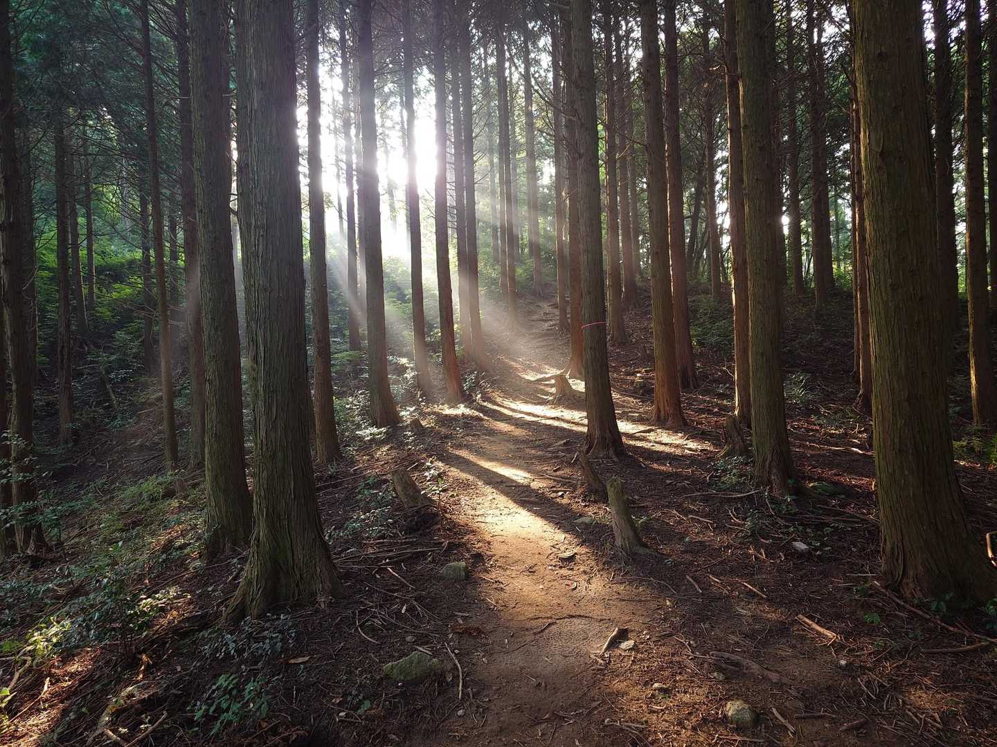 良い感じ🌄