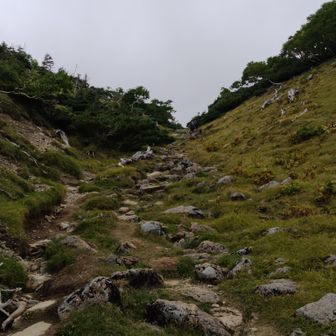 静高平を過ぎても登り。