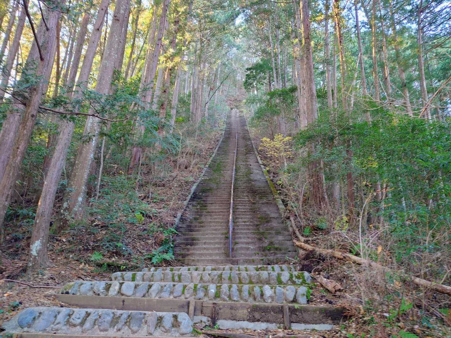 いきなり階段😇途中で分からなくなっちゃったけど、たぶん200段位😵