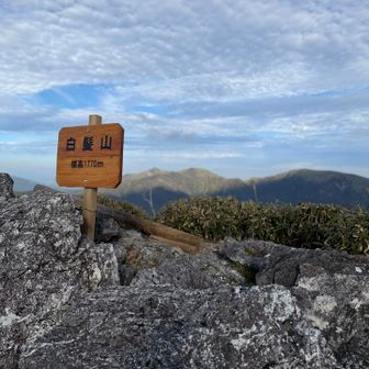 白髪山に到着