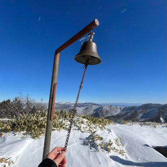 とりあえず鳴らす🔔´-