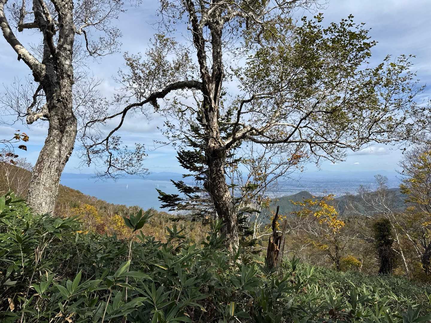 おっ、振り返ると見えて来ました