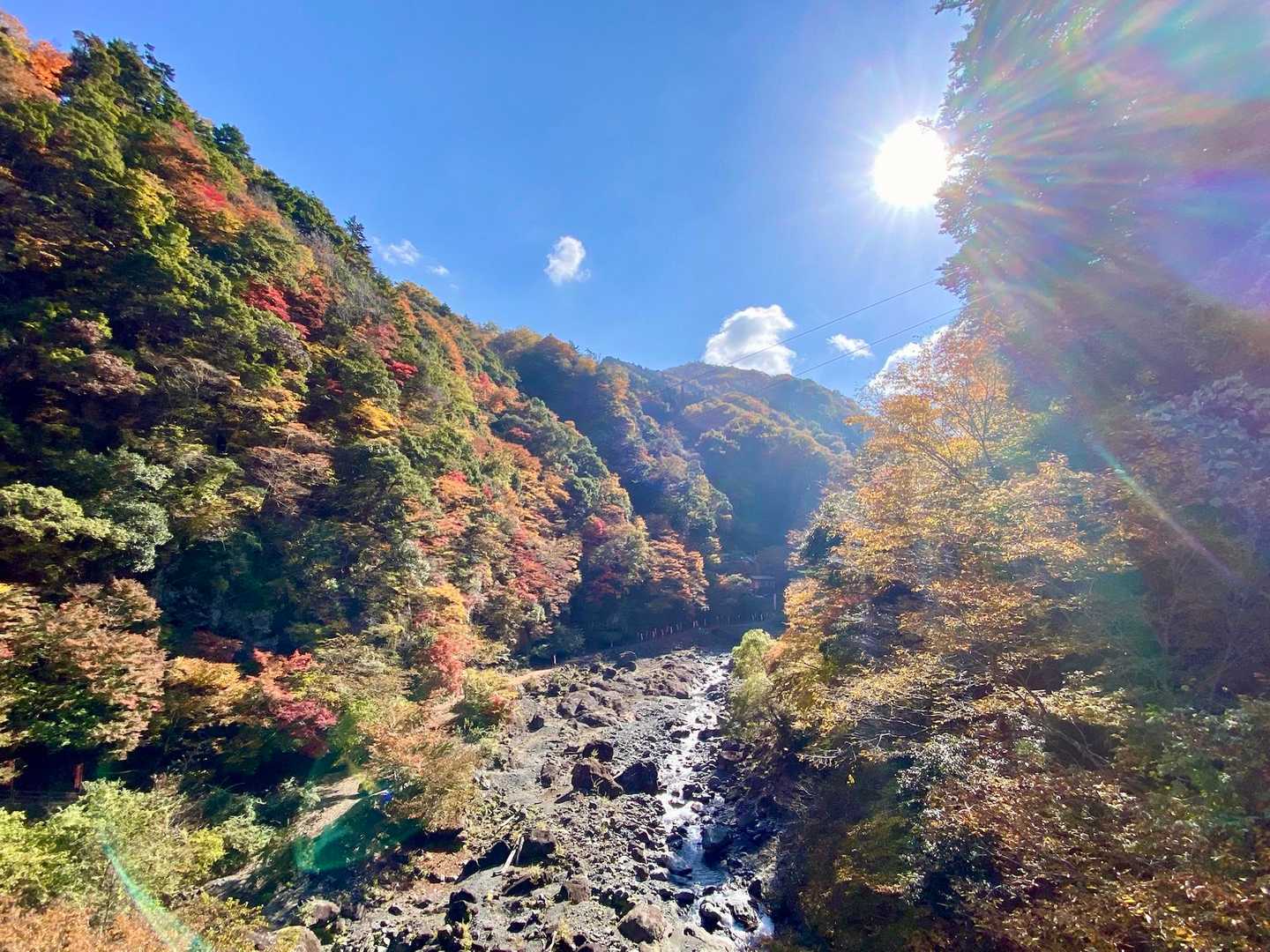 🍁🍂✨✨