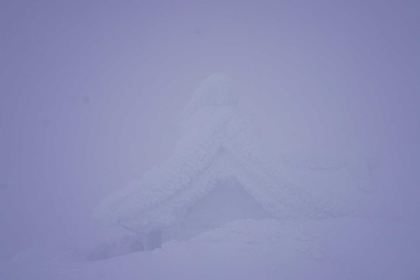 すぐ、屋根🤣
