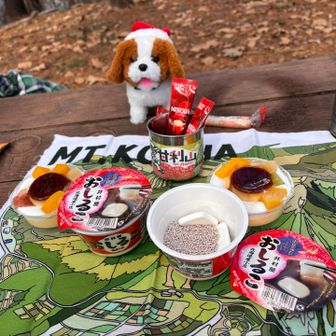 デザートは、和洋ミックス
おしることプリンアラモード💕
1日遅れのMerry Xmas🎄