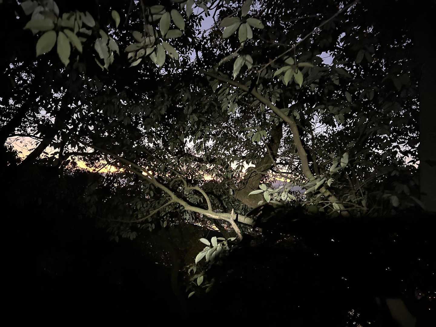 暗くなってきた🌃