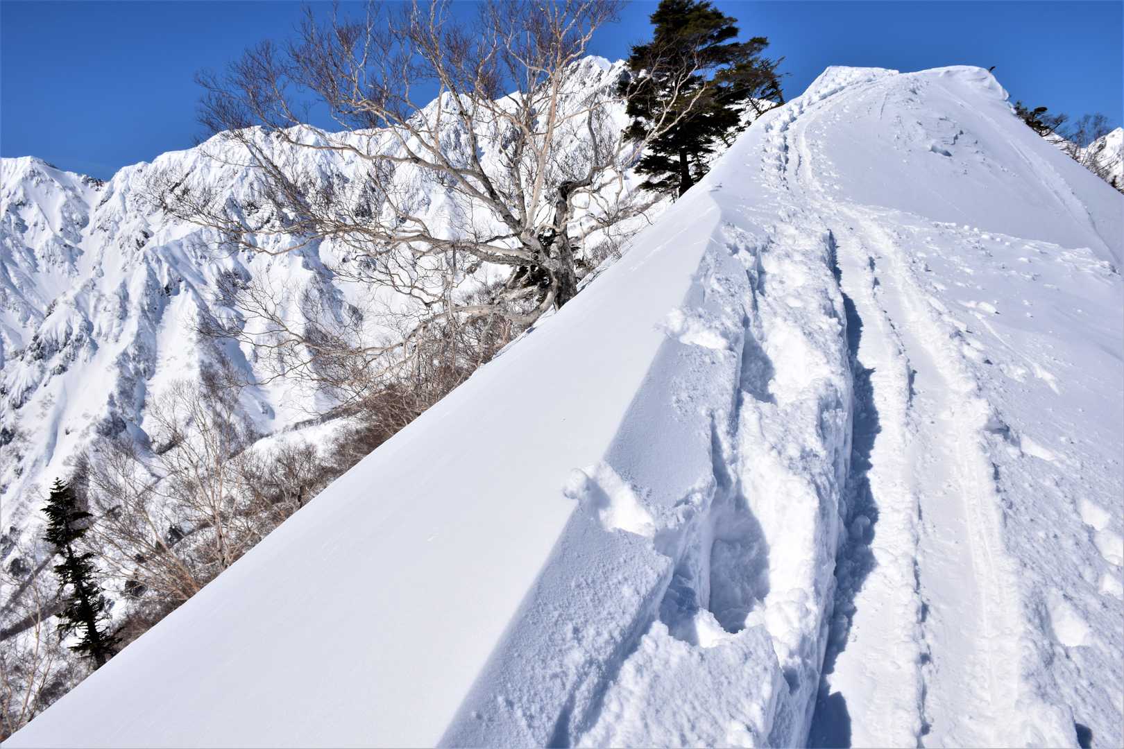 二ノ背髪-小遠見山-五竜登山口-中遠見山-大遠見山-地蔵の 縦走コースの写真