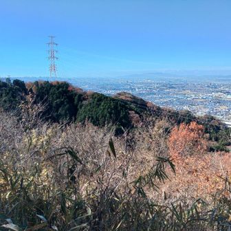 ココもエエ景色