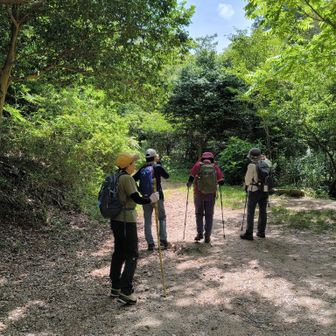 ここからは大岩を目指します。
登り上げて行きます。
降りては登りまた降りて。