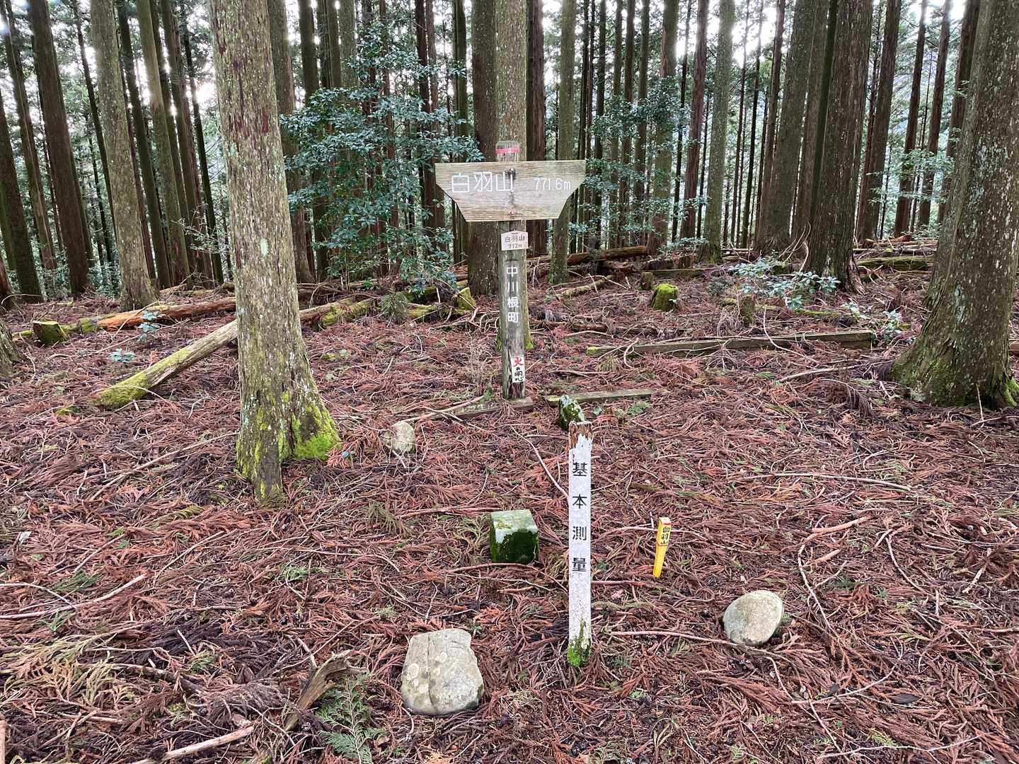 白羽山頂上、少し山道に入れましたが
すぐ林道戻って、駐車場に帰りました