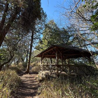 なかなか広そうなテラス