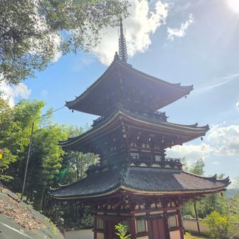 いきなり出てきた
