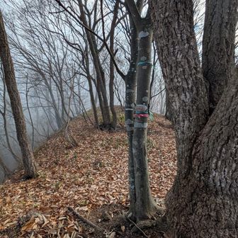 ちっちゃな看板誰かもっと立派な看板に交換して