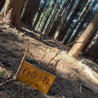 グレーピークでも名板あり！