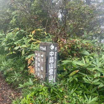 やっと稜線出た！