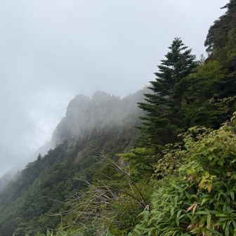 ガスってる…
