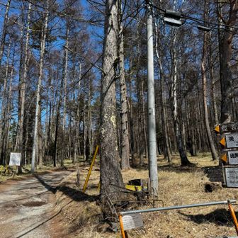 はい美濃戸口に無事げざーん
お世話になりました🙏