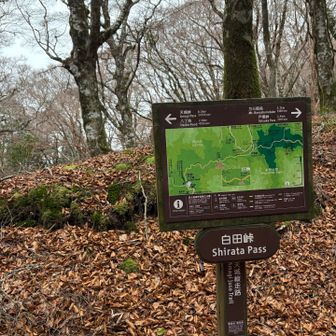 軽くアップダウンしながら、いくつもの峠を越えていきます。