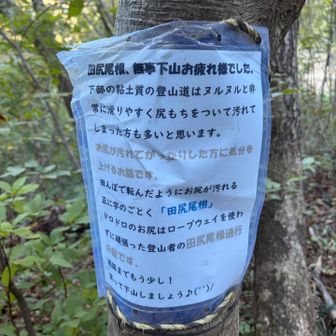 面白いコメント