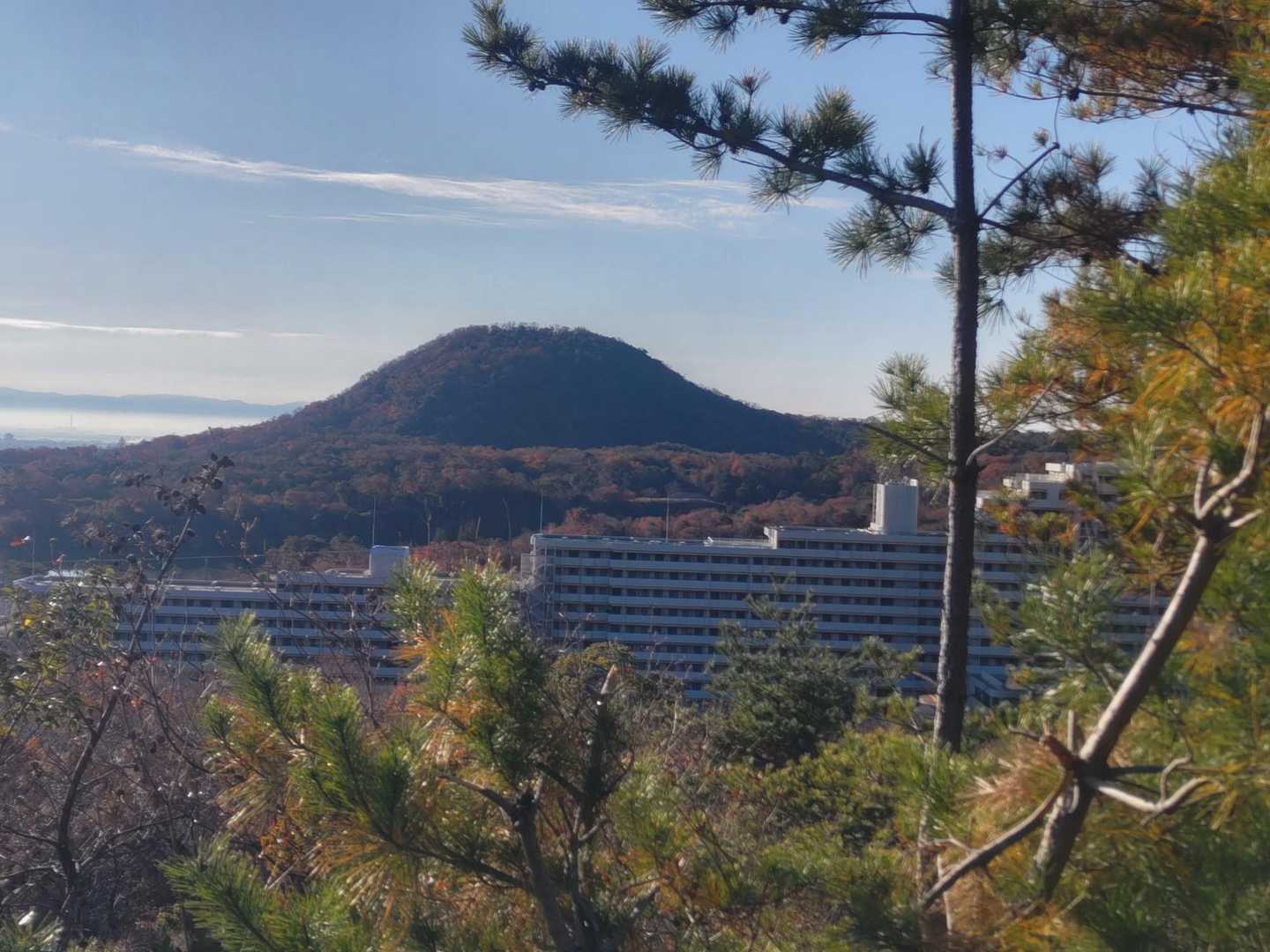 となりの甲山もスッキリ良く見えました🥳