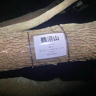 山頂碑　山頂異常なし！