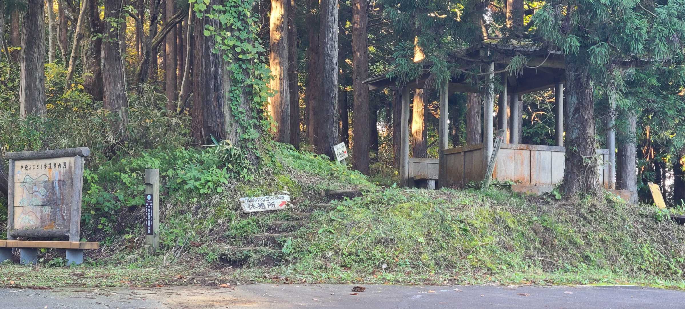 二本杉登山口、

今日のキモはここまでのアクセスでした、
結局藪藪林道、土砂崩れや、落石やら、、何とか通れるものの、、
車がかわいそうでした😂