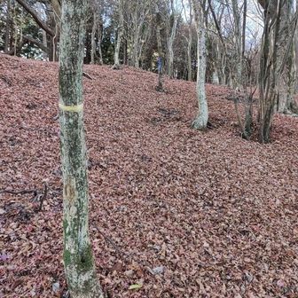 押立山頂上も、あともう少し。

ヘトヘト状態な上に、少し後ろにバランスが崩れると、斜面下側に仰向けになって倒れ、ひっくり返りそうになる。