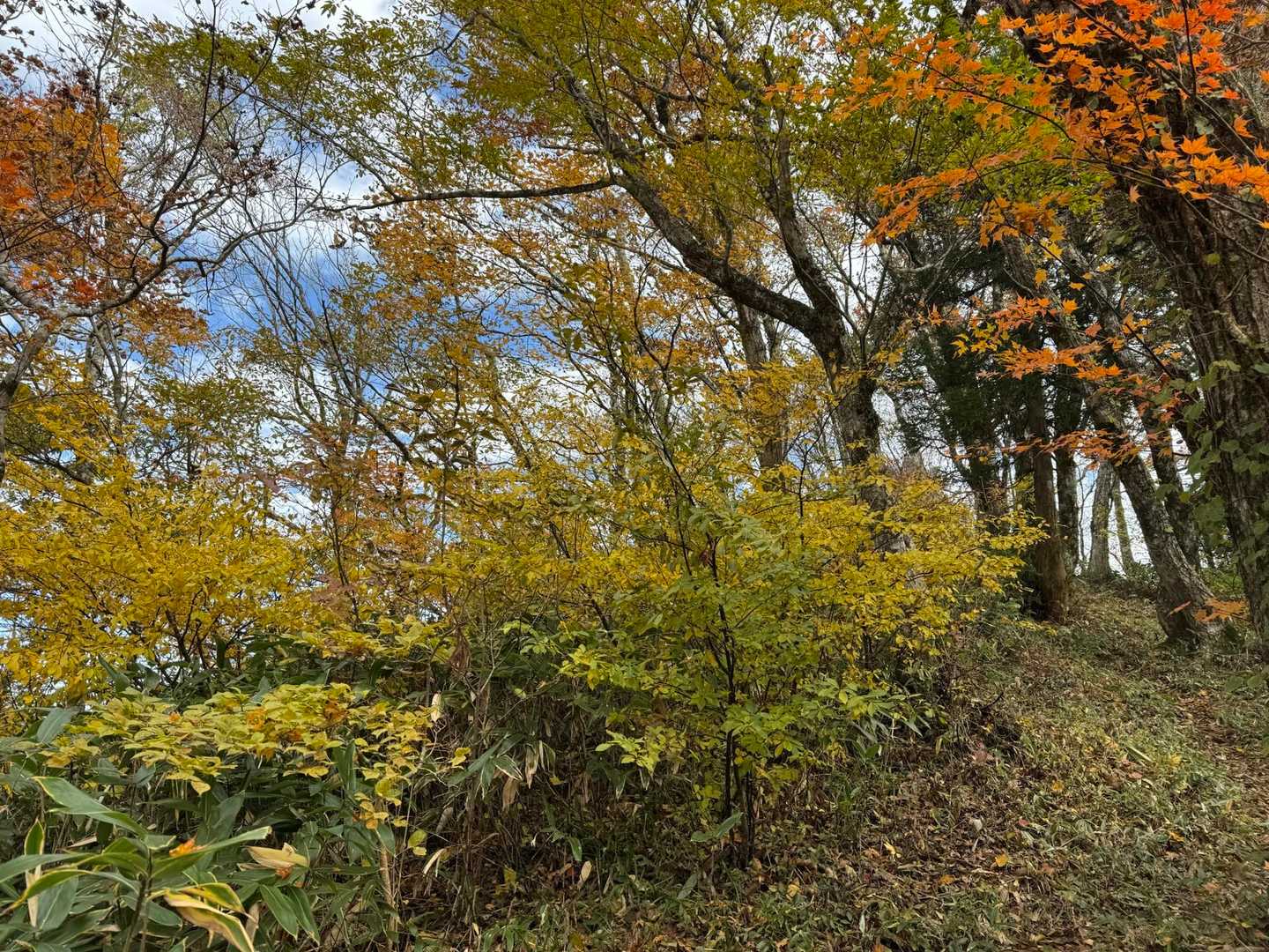 大神ヶ岳-赤谷山 往復コースの写真