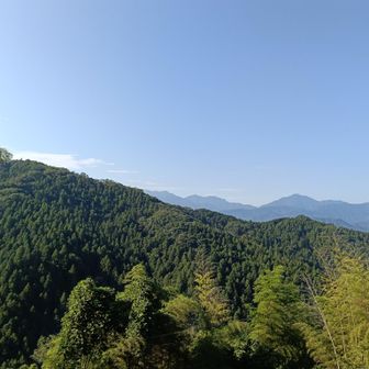 ようやく抜けたところ拝みました
