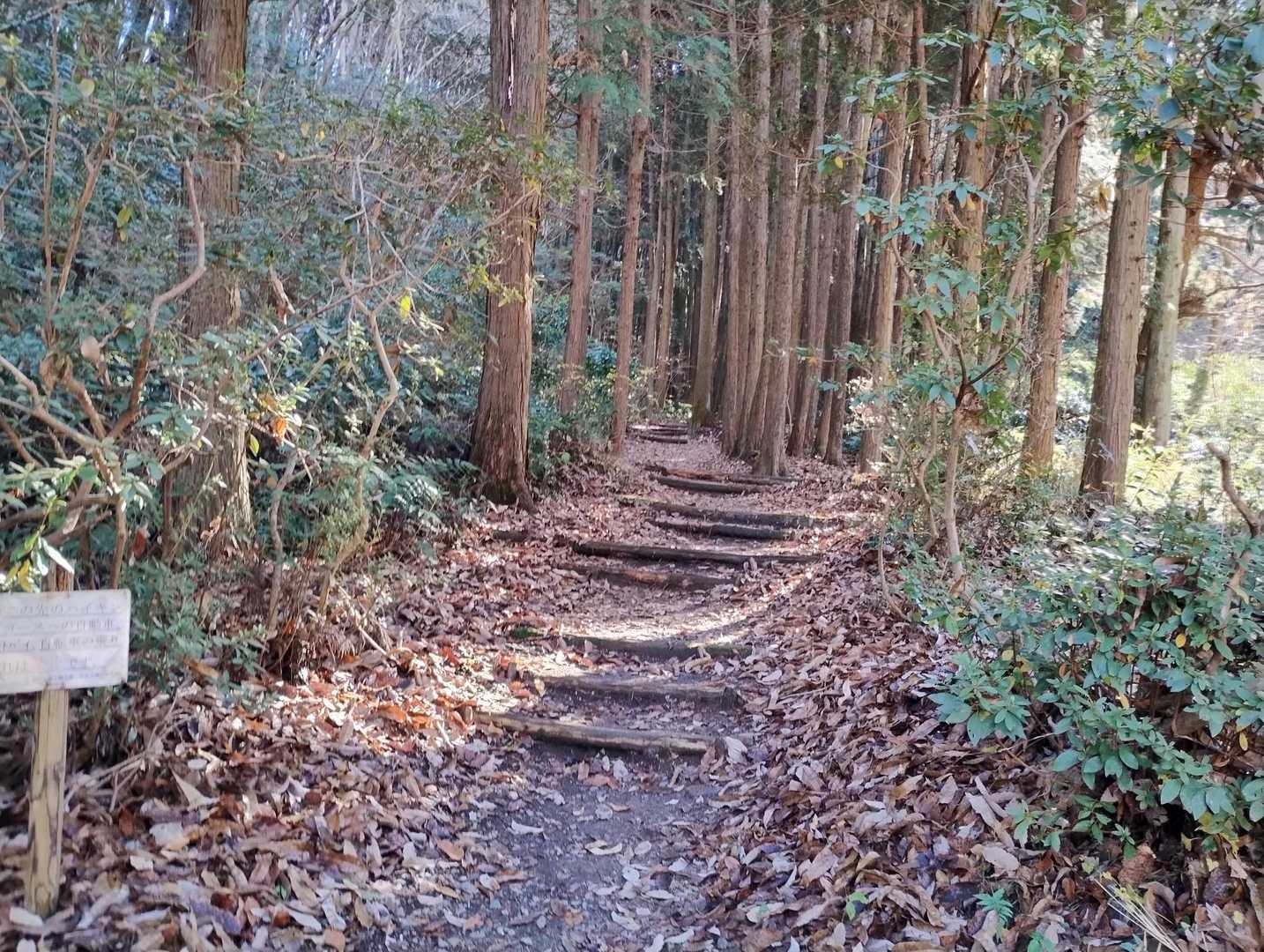 それではスタートします😄
登りは登山口の右側、下りは左側のルートとしました☺️