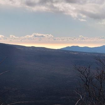 駿河湾が金色に輝いてました