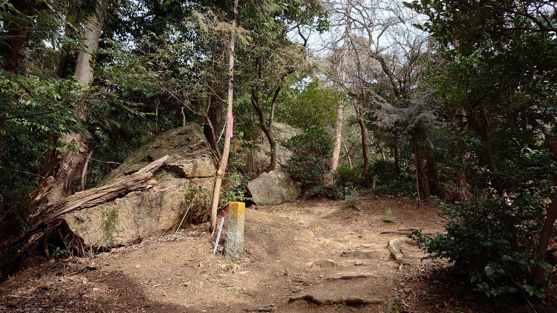 足元注意しながら登って行きます。