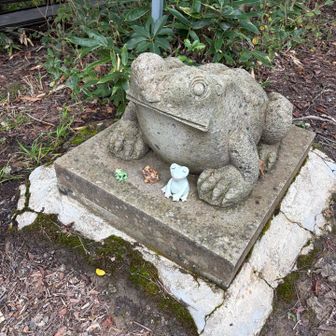 無事カエル🐸