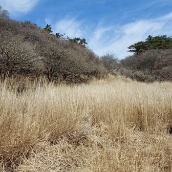 再度、南窪地に下りてきた。
萱が嫌い😡⚡
急ぎ足で抜け出す