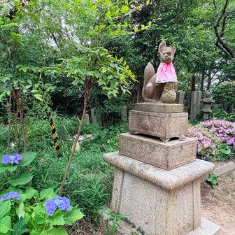 ツツジがまだ残ってたから、ツツジと紫陽花のコラボ。