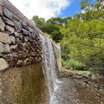 あー、水浴びしたら気持ちよさそう。